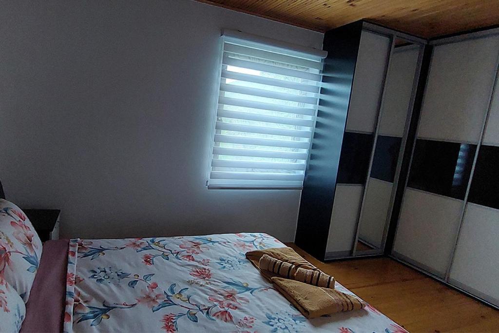 Villa Ramonda Dolna Matka Kültér fotó