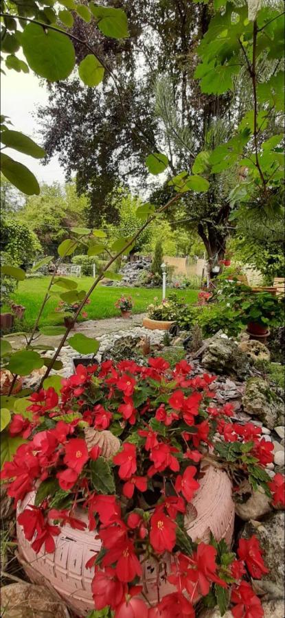 Villa Ramonda Dolna Matka Kültér fotó